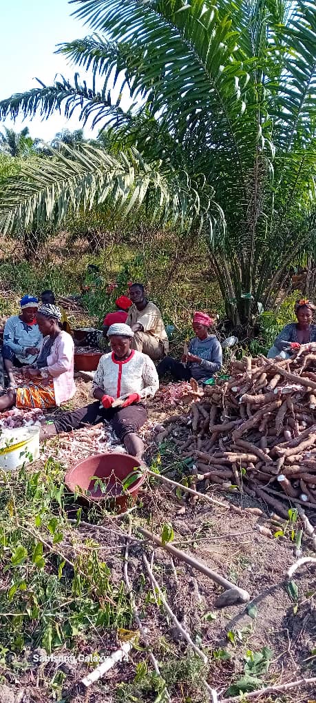 Agriculture durable post thumbnail