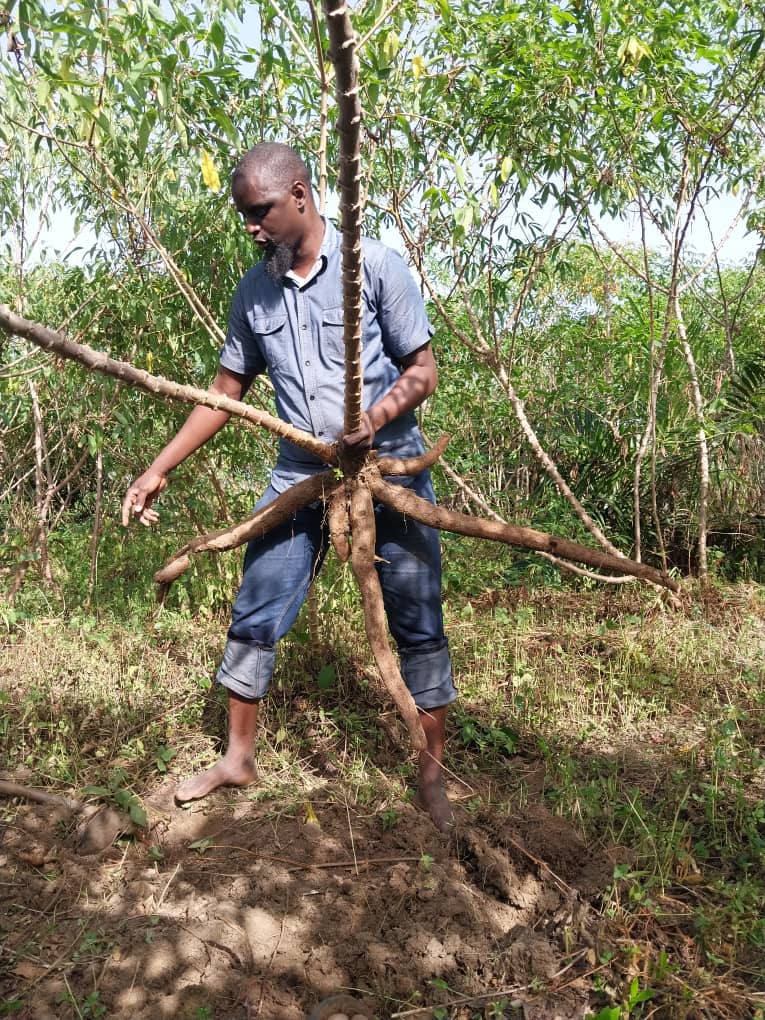 Cultiver mieux, pour nourrir demain post thumbnail