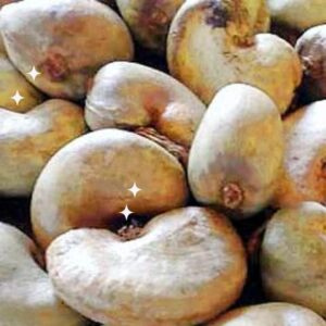 Noix de Cajou (anacarde)
