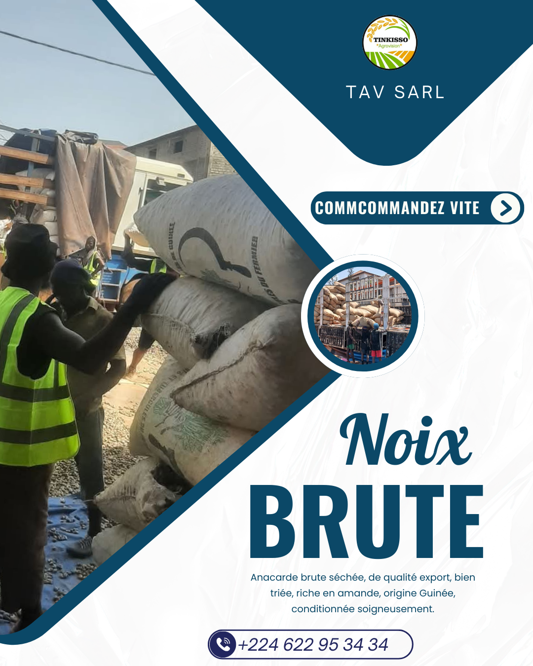Nouveautés chez TAV SARL : Lancement de l’anacarde sur le marché international